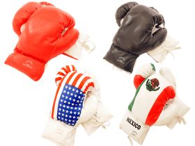 6oz Boxing Gloves in 4 Different Styles