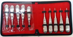 10 Pcs Dental Tooth Surgery Elevators Sets with Pouch Good Quality