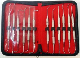 12 Pcs Sinus Lift Instruments Set Implant Dental Dentistry Double Ended Instruments