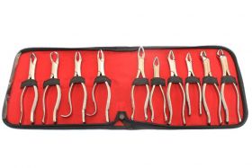10 Pcs Dental Extracting Forceps kit with Velvet Pouch Good Quality