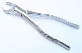 88R Dental Instrument Extracting Forceps Stainless Steel