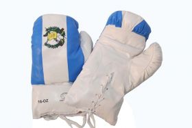 16oz Guatemala Flag Boxing Gloves