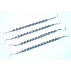 4Pc Dental Probe Set, Stainless Steel